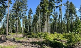 Tunnel Tract Parcel2, Banks, OR 97106