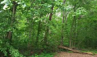 4100 ABBEY ROAD Lot 26-50, Adamsville, AL 35005