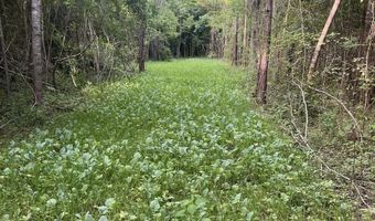 32 Acres Wesson Gap Rd, Attalla, AL 35954
