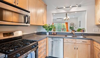 602 North Ave 8, Burlington, VT 05408