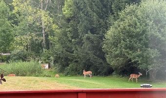 5061 Sandhill Rd, Almont, MI 48003
