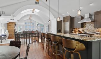 925 E DURANT Avenue 2, Aspen, CO 81611