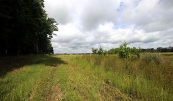 Happy Bend Road, Atkins, AR 72823