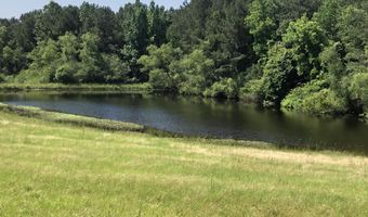 10 County Road 1521, Bay Springs, MS 39422