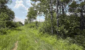 TBD Samuelson Road - Sec 15, Angora, MN 55703