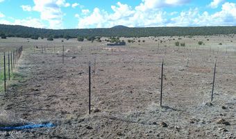 7 N CR 8171, Concho, AZ 85924