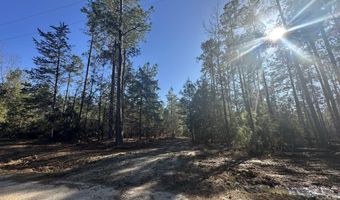1035 SEMINOLE Dr, Lincolnton, GA 30817