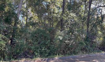 Berman St lot 11 1/2 & 12, Andalusia, AL 36421