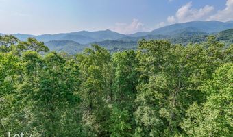 1200 Tobacco Branch Rd, Almond, NC 28702