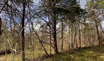 HIGHWAY 231 lot Tract - 27+/- Ac, Ashville, AL 35953