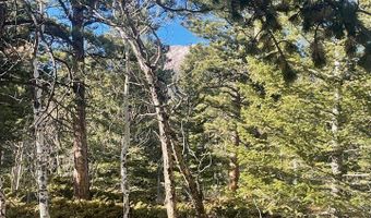 399 N Skinner Rd, Allenspark, CO 80510