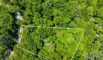 Tbd Big Bear Pen Road, Highlands, NC 28741
