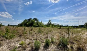 17692 COUNTY ROAD 121, Bryceville, FL 32009