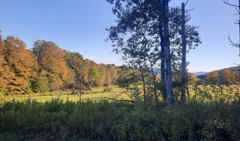 Lower Dingle Hill Road, Andes, NY 13731