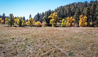 Tract 6 Lone Elk Ranch, Alva, WY 82711