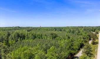 Main St and Hwy 1, Alberta, VA 23821