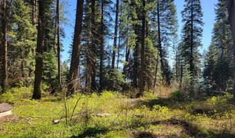 22 Melody Ln Lot 10, Cascade, ID 83611