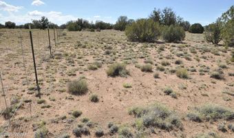 19 C & D County Rd N9033, Concho, AZ 85924