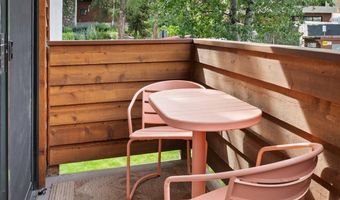 935 E Hopkins Ave 7, Aspen, CO 81611