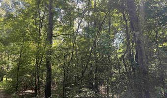 776 JOHN ASHLEY, Amity, AR 71921