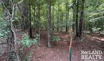 TBD-0 Yeldell Rd, Bastrop, LA 71220