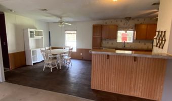 130 W Seaflower, Apopka, FL 32712