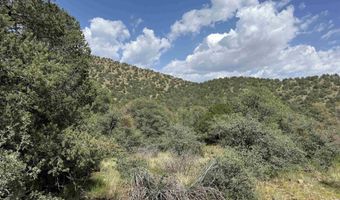 XY Black Dog Road, Silver City, NM 88061