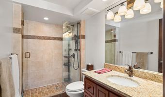 731 S Mill St 2C, Aspen, CO 81611