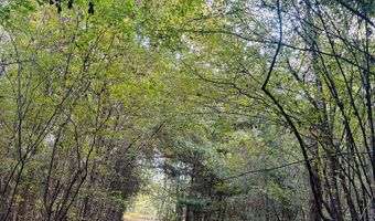 644 Ash-Harrel Loop, Abbeville, GA 31001
