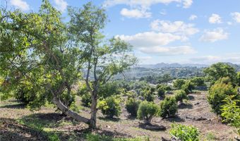 40620 Via Ranchitos, Fallbrook, CA 92028