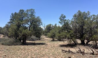 249 W Kings Ranch Rd, Ash Fork, AZ 86320