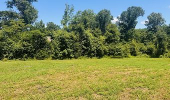 1042 Lake Cadeli Rd, Bartow, GA 30413