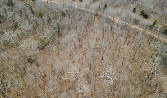 County Road 302, Alton, MO 65606