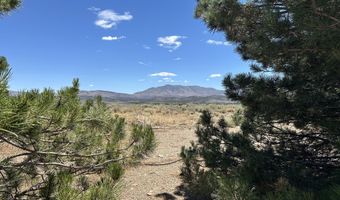 1515 Patrick Ct, Gardnerville, NV 89410