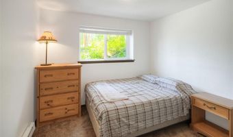 99 Bearing Tree Rd, Breckenridge, CO 80424