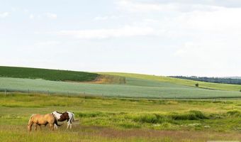 Tbd E 1400 N, Ashton, ID 83420