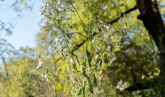 501 Caldwell Rd, Blacksburg, SC 29702