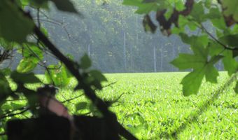 182 Will Poyner Ln, Barco, NC 27917