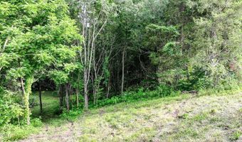Middle Creek Road, Afton, TN 37616