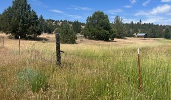 680-550 Butte Creek Rd, Adin, CA 96006