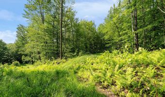 115 Stone Hill Rd, Bolton, VT 05477