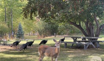 221 W School St, Absarokee, MT 59001