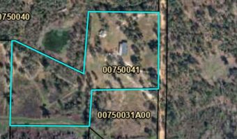 317 Palmer Rd, Bainbridge, GA 39819