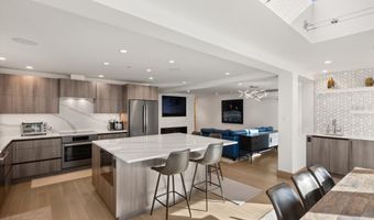 447 E Cooper Ave 1, Aspen, CO 81611