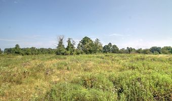 210 CR 2823, Alto, TX 75925