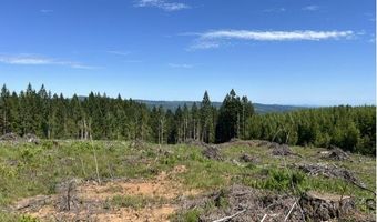 Tunnel Tract Parcel2, Banks, OR 97106