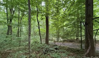 9999 Countryside Est, Barnardsville, NC 28709