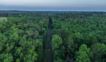 329 County Road 2804, Alto, TX 75925