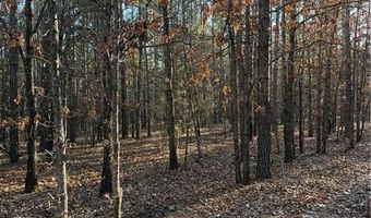 Tract 2 Rural Atoka, Atoka, OK 74525