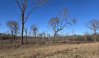 13 A Atomic Rd, Beech Island, SC 29842